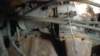 r24_small.jpg